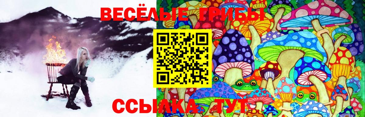 купить  цена  Псилоцибиновые грибы Psilocybe  Дмитров  Вход с VPN  Галлюциногенные грибы Magic Shrooms 