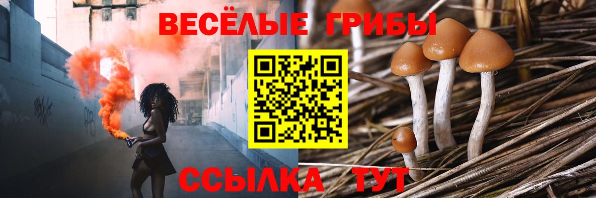 Галлюциногенные грибы Magic Shrooms Дмитров